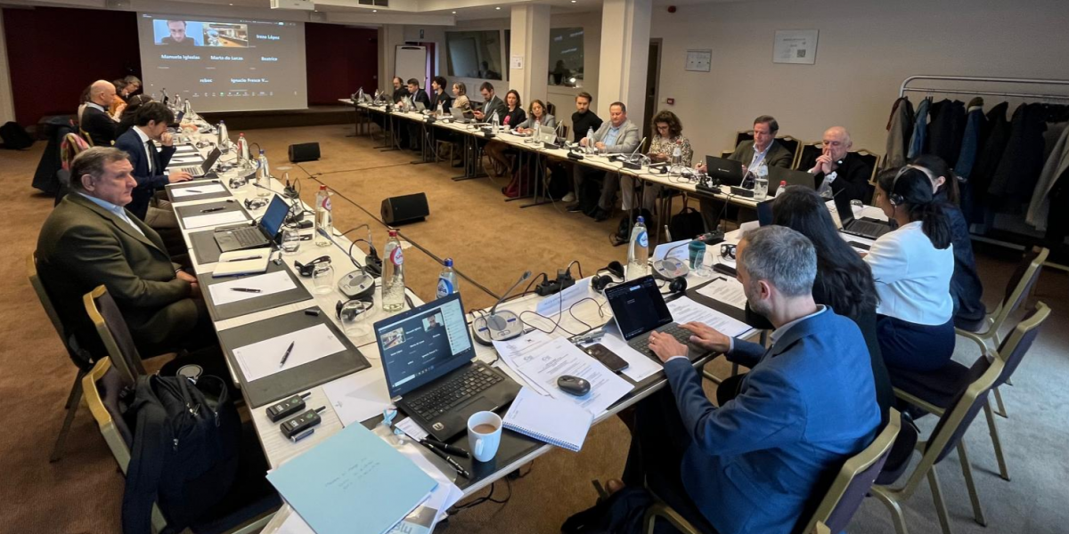 Comisión Ejecutiva del Consejo Consultivo de Flota de Larga Distancia