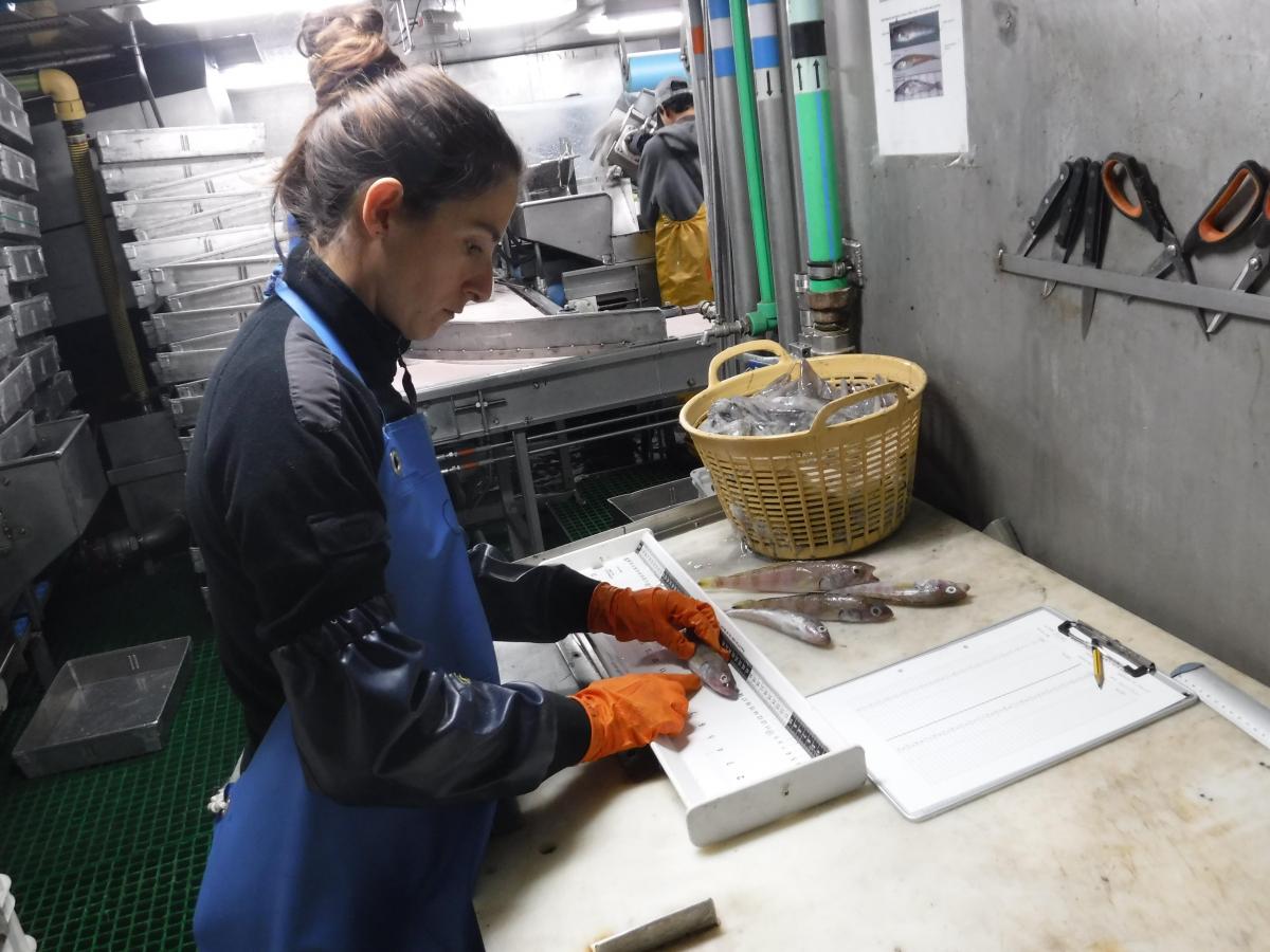 Observadora científica en buque pesquero