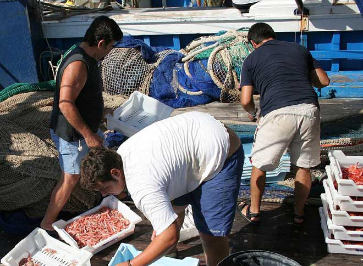 Pescadores faenando y clasificando las capturas